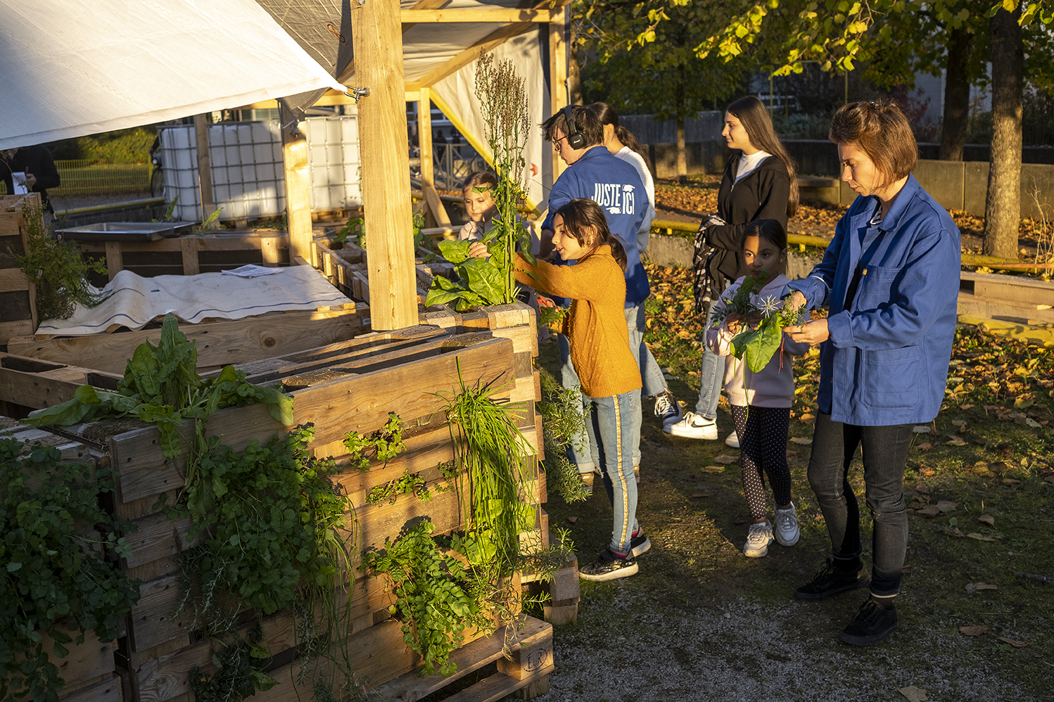 Ateliers Juste Ici – Jardinage participatif
